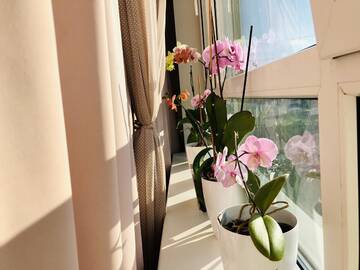 Фото номера Апартаменты-студио Апартаменты DeLight Apartments г. Борисполь 11